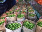 Fresh / Dry Limes - Image 2