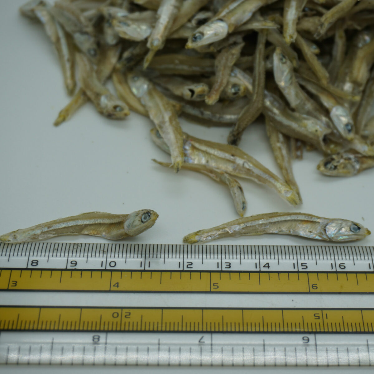 Dried Anchovy Fish - Image 2