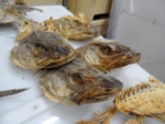 Dry Stock Fish Cod - Image 2