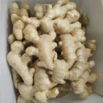 Dry / Fresh Ginger