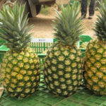 Fresh Pineapple