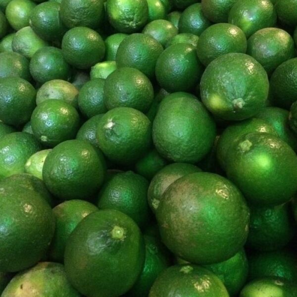 Fresh / Dry Limes