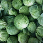 Cabbages