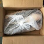 Fresh / Frozen Catfish - Image 3