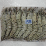 Frozen IQF Shrimps