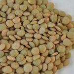 Lentils