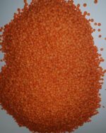 Lentils - Image 3