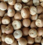 Betel Nuts