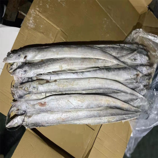 Ribbonfish